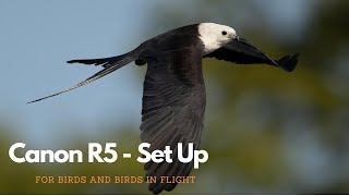 Canon R5 Set Up  Birds and Birds in Flight