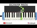 NOT ANGKA PIANIKA SECAWAN MADU | TUTORIAL MUDAH MAIN PIANIKA LAGU DANGDUT SECAWAN MADU