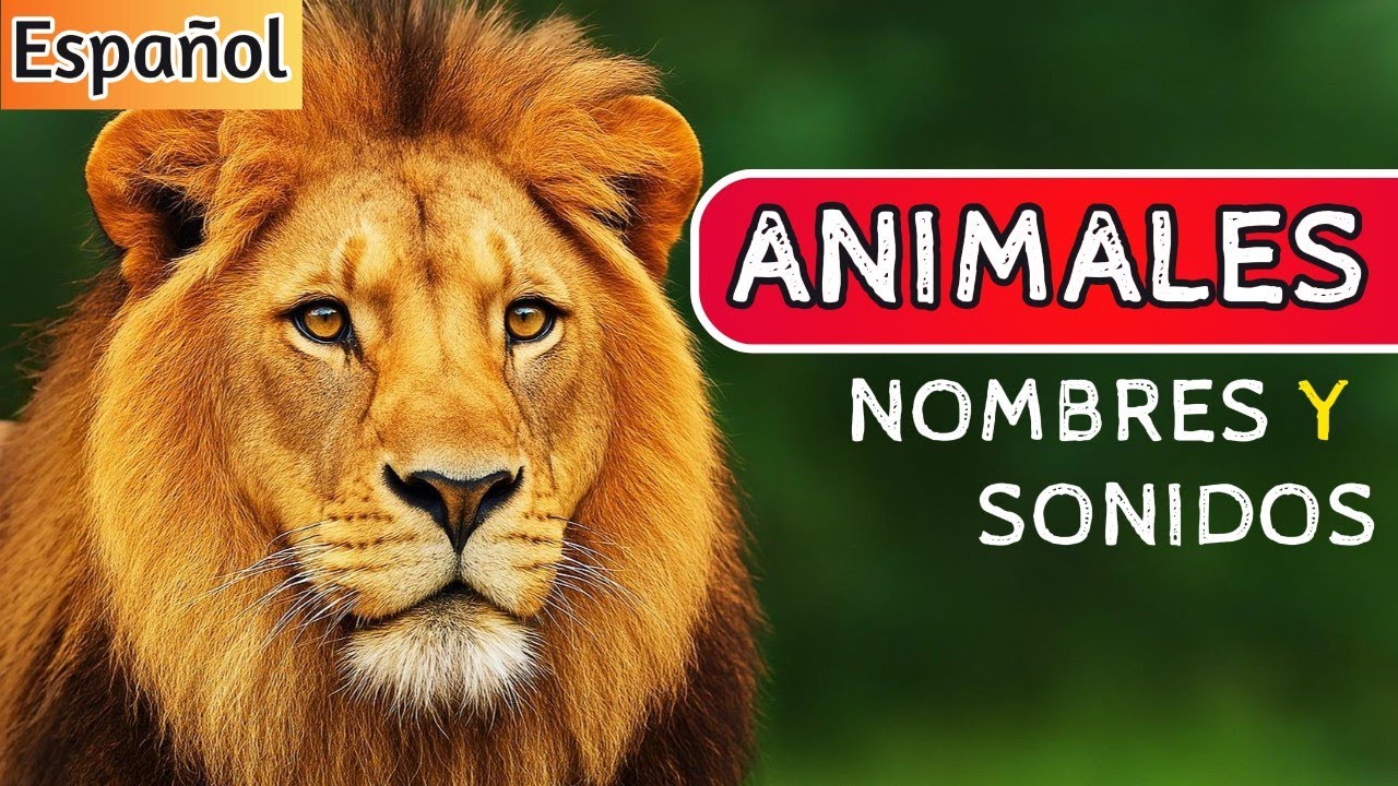 Todos los Animales Para Niños: Sonidos y Nombres | Gran video educativo para bebés y niños pequeños🦁