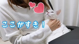 ママに甘えてる最中に大好きなハムちゃんが来たら…？