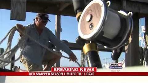 UPDATE: Red Snapper Season Will Last Only 11 Days