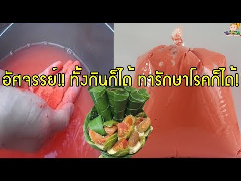อัศจรรย์!! ปูนแดง( กินกับหมาก) ทั้งกินก็ได้ ทารักษาโรคก็ได้ และ ยังมีประโยชน์มากมาย!