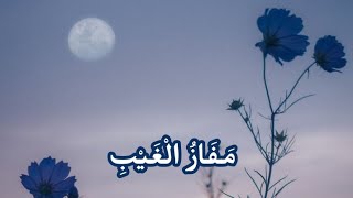مفاز الغيب || 'فأنتَ حبلُ نجاتي' أنت آمالي' أداء موسى العميرة