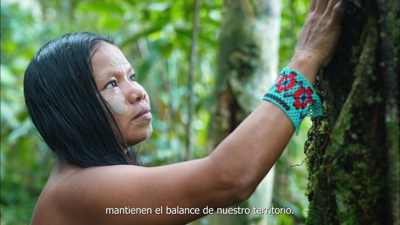 Eperãra Siapidaarã - Cauca - YouTube