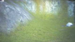 PICT0070.AVI