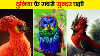 Amazon में पाए जाने वाले सबसे खूबसूरत पक्षी | Most Beautiful Birds of Amazon screenshot 4
