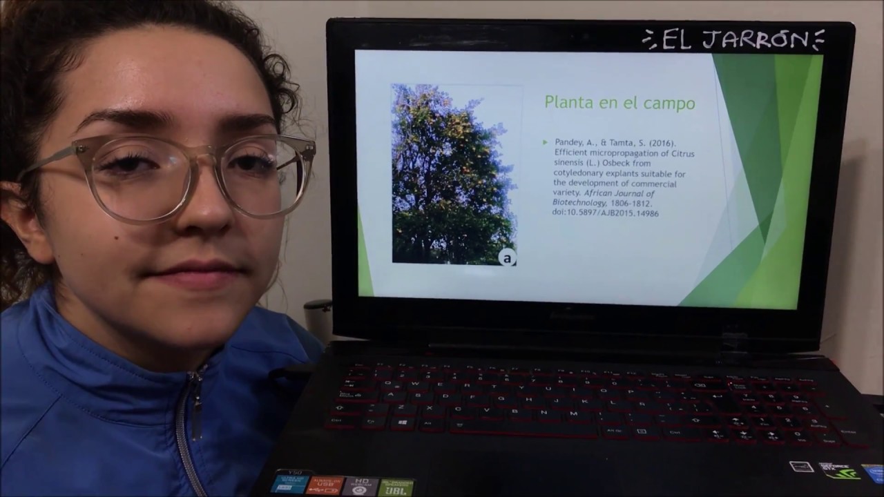 Micropropagación de Citrus sinensis L. Osbeck (Naranja Valencia)