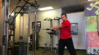 Standing ISO Transverse Chop