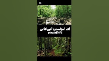 قالوا أرجه وأخاه وأرسل في المدائن حاشرين سورة الأعراف #تلاوات #تلاوة_خاشعة #قرآن #قران_كريم #المصحف