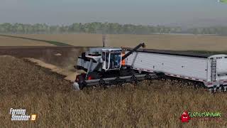 farming simulator 19 wheat harvest with Gleaner L2 and R65