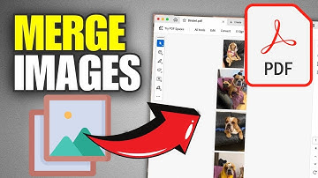 How To Merge Multiple Images Into One PDF (2025)