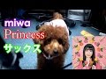 Princess (miwa) Alto Saxophone Cover