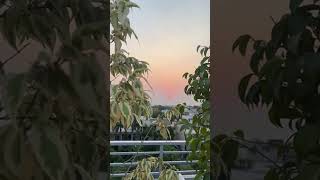 Check out my videos is live! Sunrise