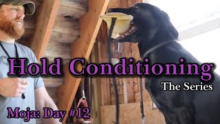 Hold Conditioning Moja | Ep: #12