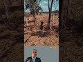 رد فعل غير متوقع من عجل صغير لن تصدقوا ماذا حدث Shorts Short 