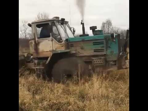 ГУс - YouTube