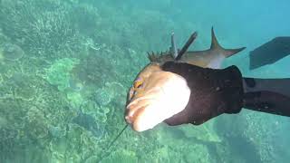 Humpy Island beach camping