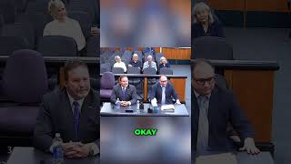 Court Hearing: Temporary Protective Order Application Explained #shorts