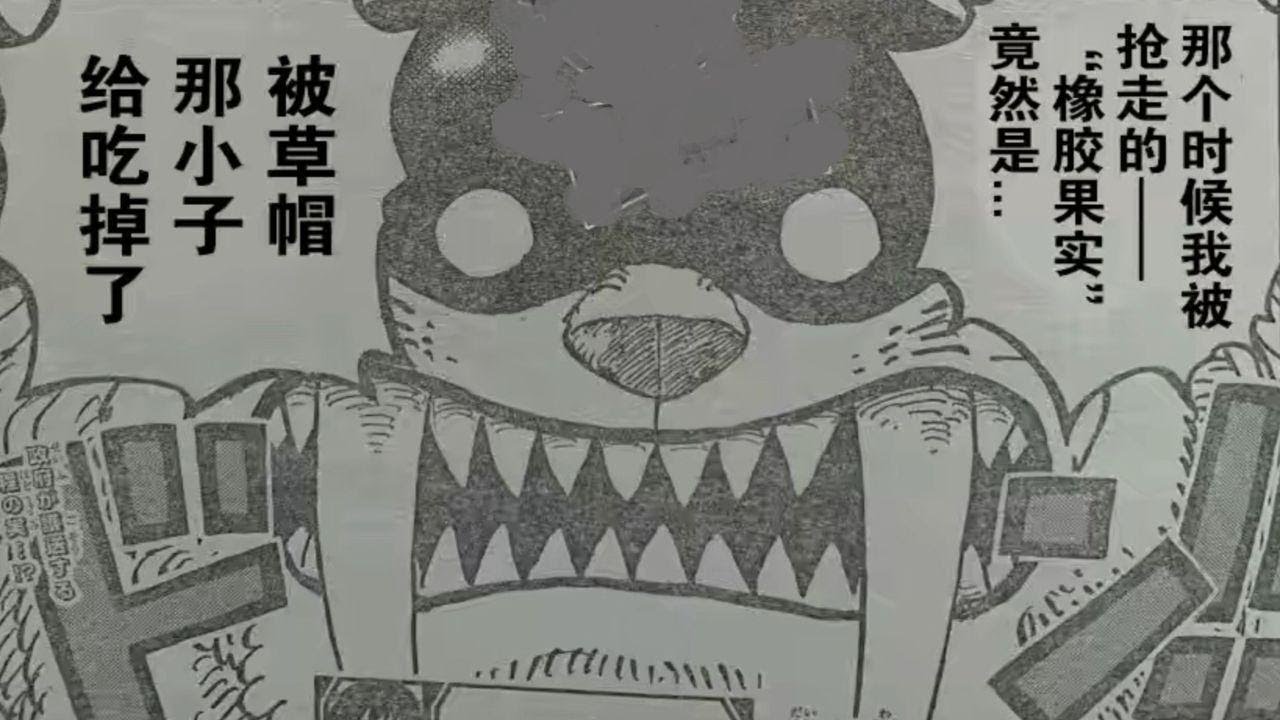 海贼王 尾田埋了1000话的伏笔公布 橡胶果实 有巨大秘密 Youtube