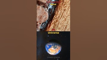 Wood Vs The Universe Zoom In/Out Comparison #wood #asmr #zoomin