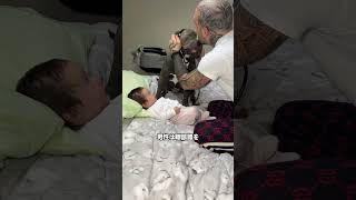 娘の心音を聞かせてあげたら… 犬の反応が尊すぎた