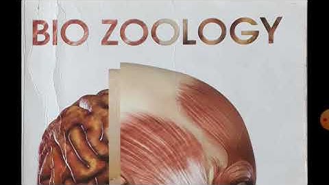 11th bio zoology reduced book back question based|11th bio zoology reduced syllabus question