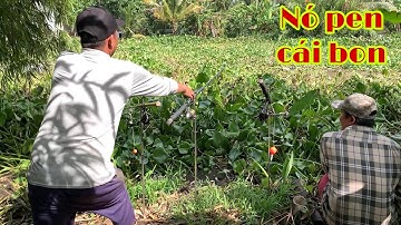 Câu Cá Tra Sông Cá Pen Cần Cái Hú Hồn Luôn | Fishing Miền Tây