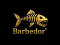 Jeu/concours #replicant #peche #brochet #jeuconcours #cadeaux #barbedortv