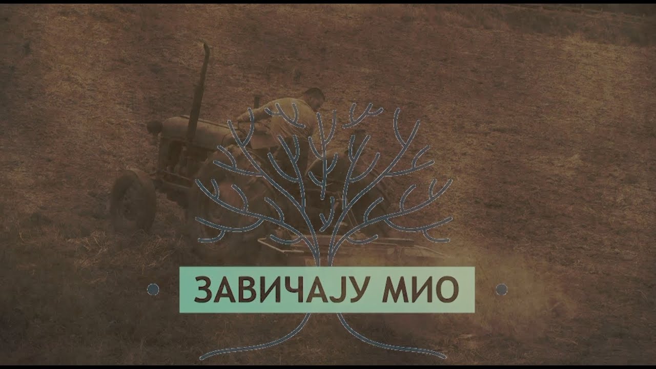 ZAVIČAJU MIO / DONJA VRBAVA / TV GM PLUS