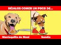 Alimentos humanos que son saludables para los perros