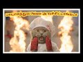 Animals funny mind voice 5 sothanaigal  tamil  simple world