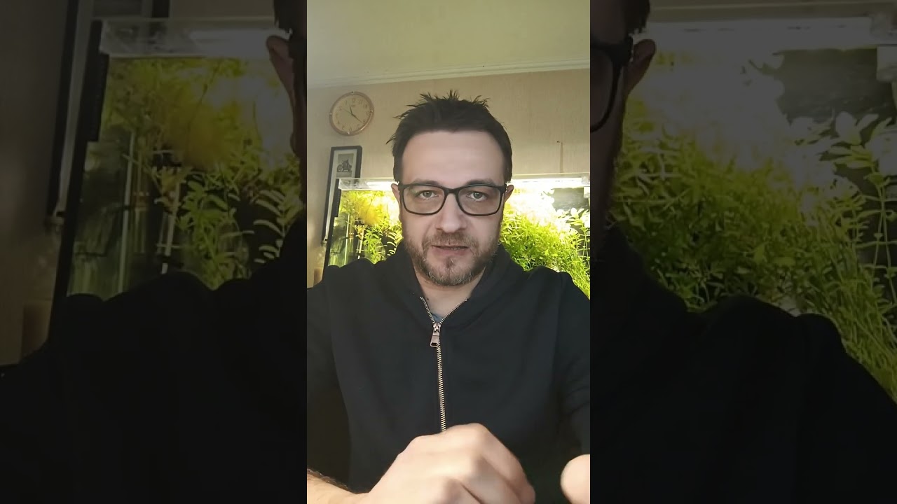 Почему аквариумные рыбы чешутся об декорации в аквариме