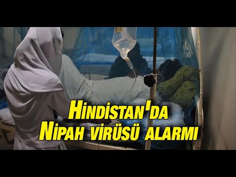 Video: Hindistan'dan Yeni Virüs 