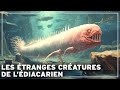 Avant les dinosaures les mystres de lge perdu des cratures diacariennes   documentaire