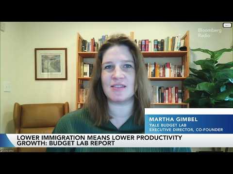 'We Assume Immigration Policy Returns to Baseline in 2029' Says Martha Gimbel Episode cover
