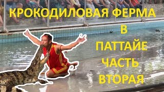 КРОКОДИЛОВАЯ ФЕРМА В ПАТТАЙЕ ЧАСТЬ ВТОРАЯ ПАТТАЙЯ 2019 ТАЙЛАНД