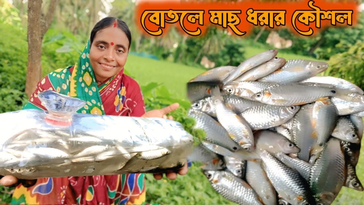 বোতল মাছ ধরার ফাঁদ 🎣 গ্রামের অসাধারণ ফিশিং ট্রিকস | Plastic Bottle Fishing