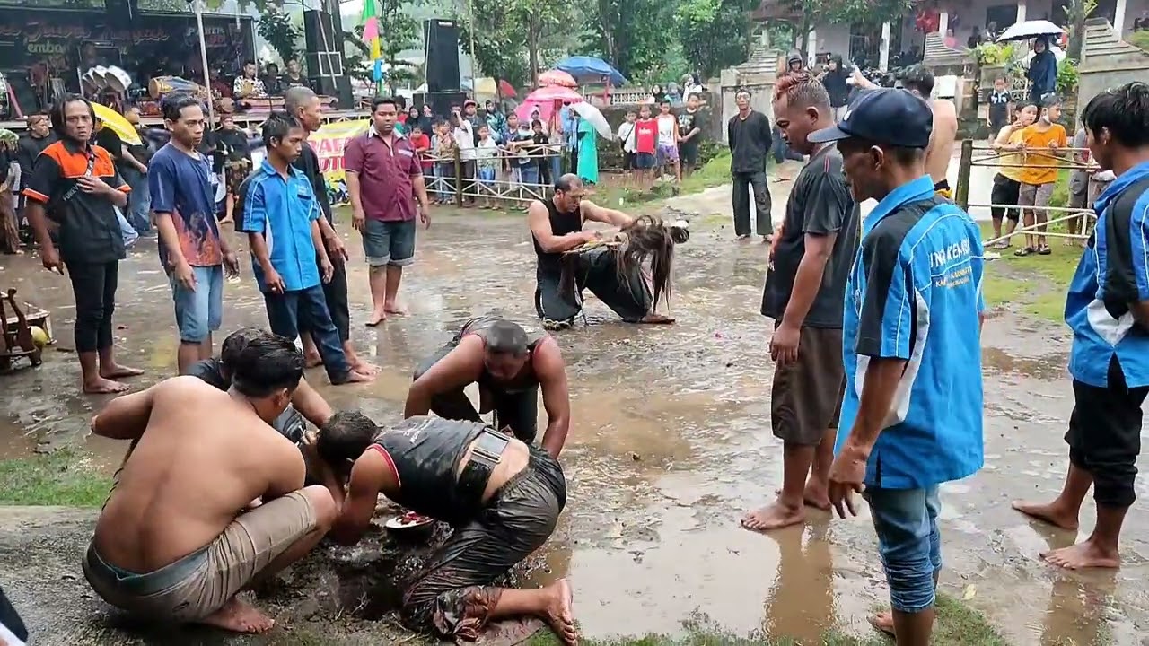 Full mendeman PAKEM OWAE "Sengon Cepogo"