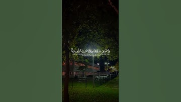 القرآن الكريم❤️.         #اكسبلور #المصحف #الرحمن