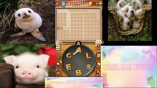 {Word Cookies} Predominant -Sprite Melon levels - level 1 to 20 (celina mak official)
