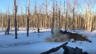 2LB of Tannerite Vs Cattails (full Detonation this time)