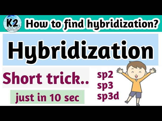 Quickly Determine The Sp3 Sp2 And Sp Hybridization Solved Please