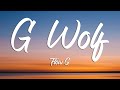 G wolf  flow  g lyrics