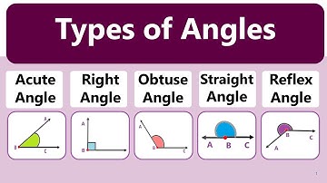 Types of Angles in Geometry: A Complete Beginner’s Guide