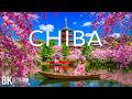 Blooming Chiba 8K 🌸 Flower Fields, Coastal Views &amp; Peaceful Nature Landscapes | Spring Japan 8K