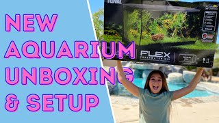 🐠 New FLUVAL AQUARIUM set up • Live Aquatic Plants • Freshwater