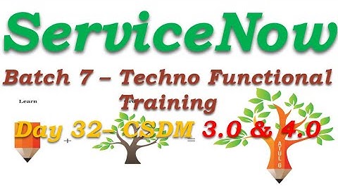 Batch 7 || Day 32 || CSDM 3.0 & 4.0 Overview  ||Techno Functional Training || San Diego