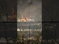 The Cleanest Sniper Shot in Battlefield 5 #shorts #battlefield5 #bf5