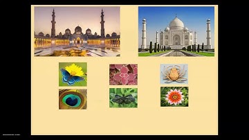 Lines of Symmetry and Rotational symmetry GRADE 6 AND 7 Maths