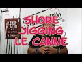 SHORE JIGGING -  LE CANNE